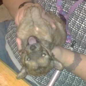 Meet your Posher, Tracey